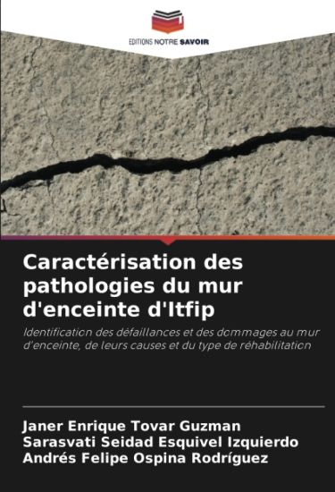 Caractérisation des pathologies du mur d'enceinte d'Itfip