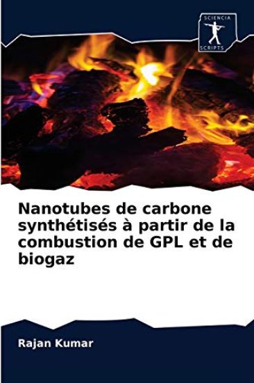 Nanotubes de carbone synthétisés à partir de la combustion de GPL et de biogaz