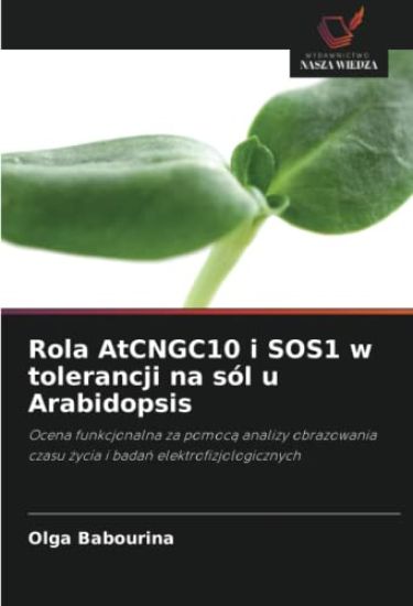 Rola AtCNGC10 i SOS1 w tolerancji na sól u Arabidopsis