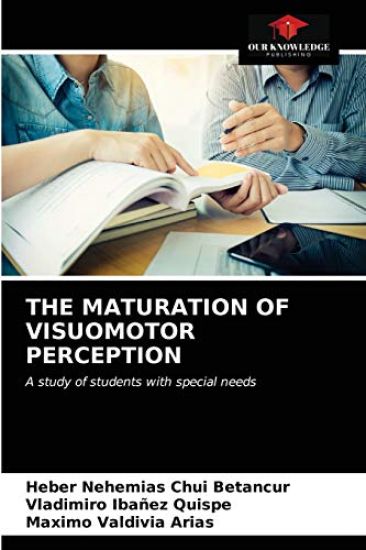 The Maturation of Visuomotor Perception