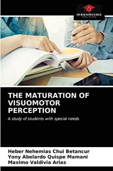 The Maturation of Visuomotor Perception