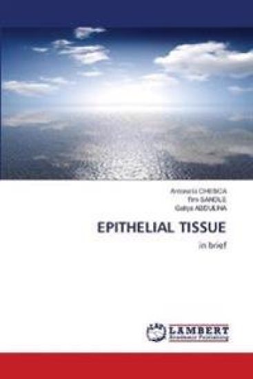 Epithelial Tissue