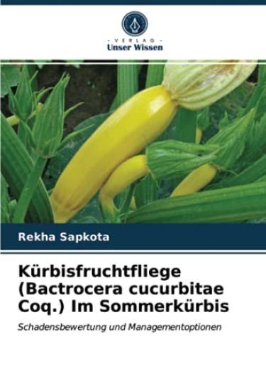Kürbisfruchtfliege (Bactrocera cucurbitae Coq.) Im Sommerkürbis