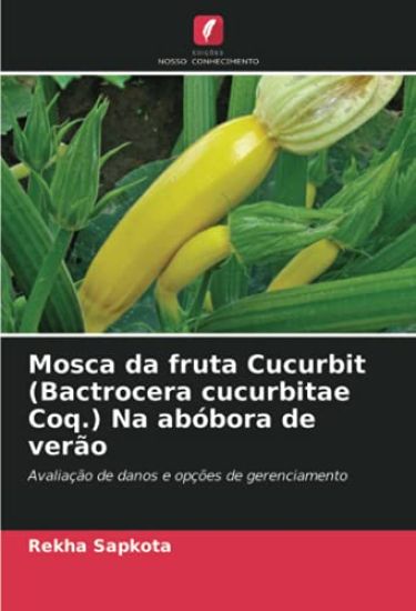 Mosca da fruta Cucurbit (Bactrocera cucurbitae Coq.) Na abóbora de verão