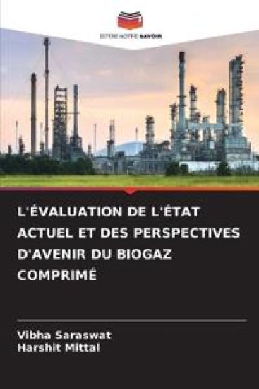 L'Évaluation de l'État Actuel Et Des Perspectives d'Avenir Du Biogaz Comprimé