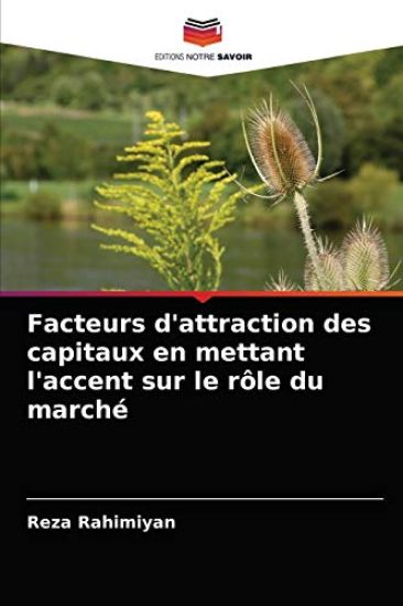 Facteurs d'attraction des capitaux en mettant l'accent sur le rôle du marché