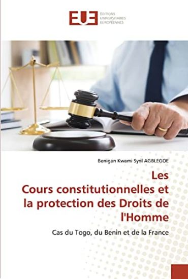 Les Cours constitutionnelles et la protection des Droits de l'Homme