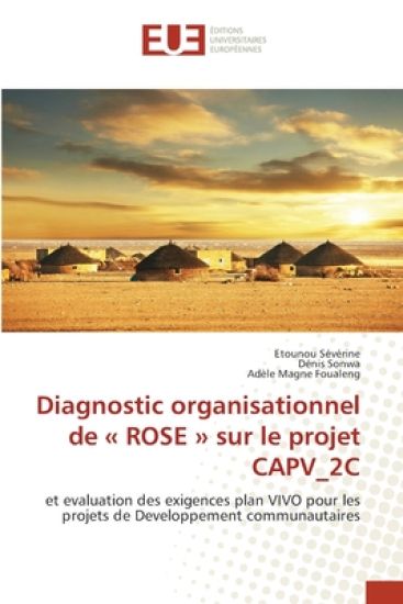 Diagnostic organisationnel de ROSE sur le projet CAPV_2C