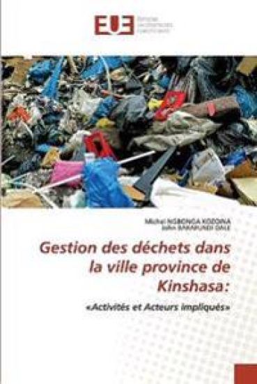 Gestion des déchets dans la ville province de Kinshasa