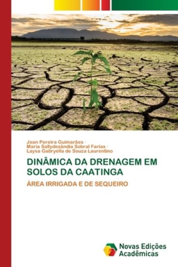 Dinâmica Da Drenagem Em Solos Da Caatinga