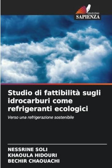Studio di fattibilità sugli idrocarburi come refrigeranti ecologici