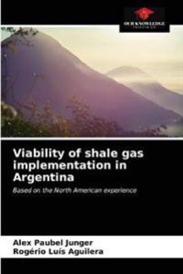 Viability of shale gas implementation in Argentina