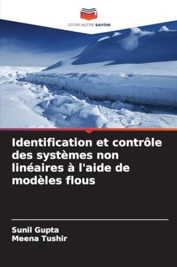 Identification et contrôle des systèmes non linéaires à l'aide de modèles flous