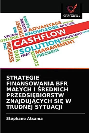 Strategie Finansowania Bfr Malych I Srednich PrzedsiEbiorstw ZnajdujAcych SiE W Trudnej Sytuacji