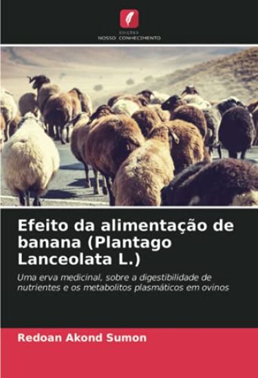 Efeito da alimentação de banana (Plantago Lanceolata L.)