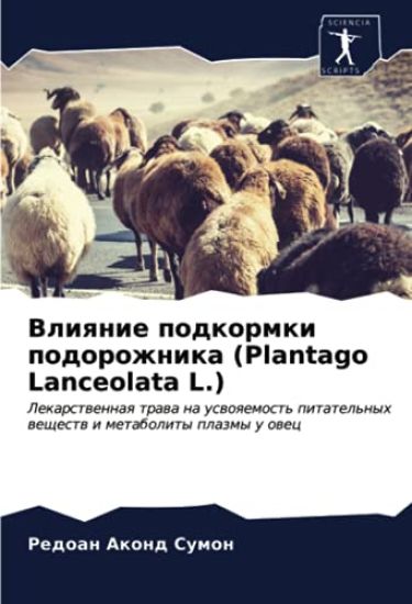 Vliqnie podkormki podorozhnika (Plantago Lanceolata L.)