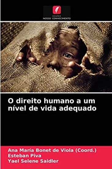 O direito humano a um nível de vida adequado