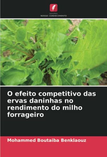 O efeito competitivo das ervas daninhas no rendimento do milho forrageiro