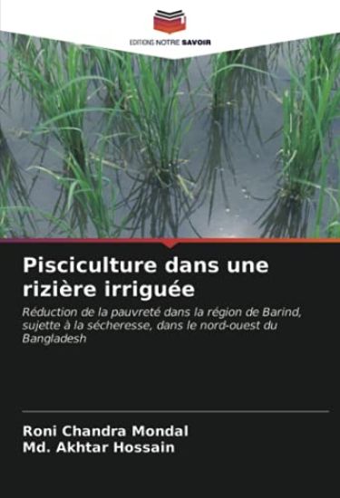 Pisciculture dans une rizière irriguée