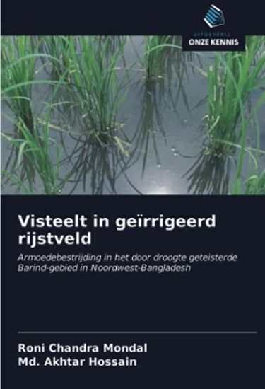 Visteelt in geïrrigeerd rijstveld