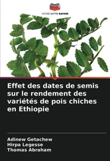 Effet des dates de semis sur le rendement des variétés de pois chiches en Ethiopie