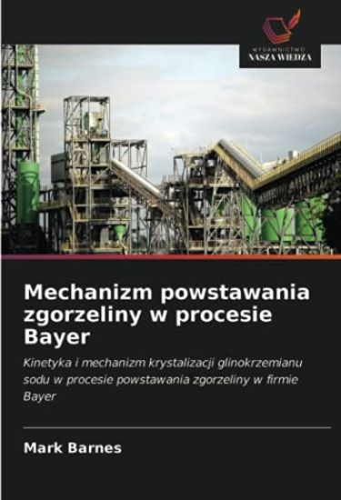 Mechanizm powstawania zgorzeliny w procesie Bayer