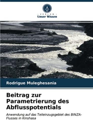 Beitrag zur Parametrierung des Abflusspotentials