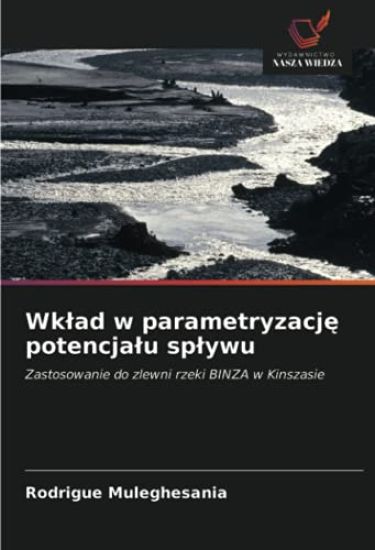 Wk¿ad w parametryzacj¿ potencja¿u sp¿ywu