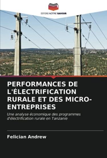 PERFORMANCES DE L'ÉLECTRIFICATION RURALE ET DES MICRO-ENTREPRISES