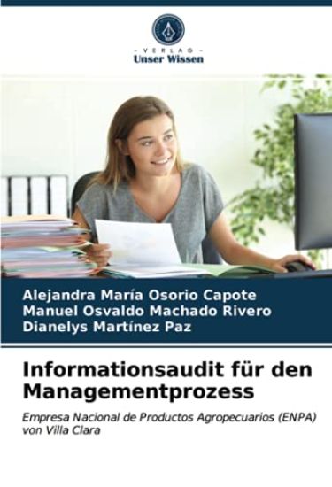 Informationsaudit für den Managementprozess