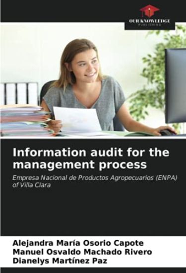 Information audit for the management process