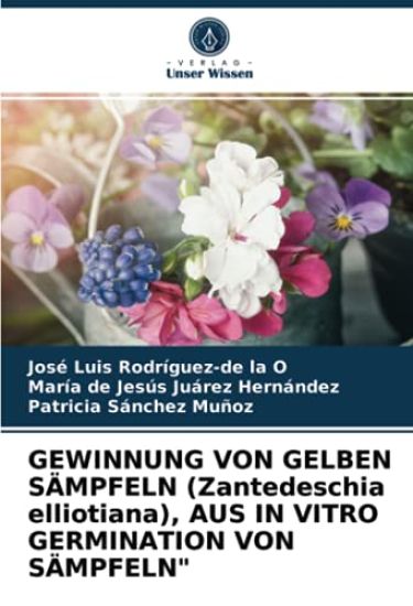 GEWINNUNG VON GELBEN SÄMPFELN (Zantedeschia elliotiana), AUS IN VITRO GERMINATION VON SÄMPFELN"