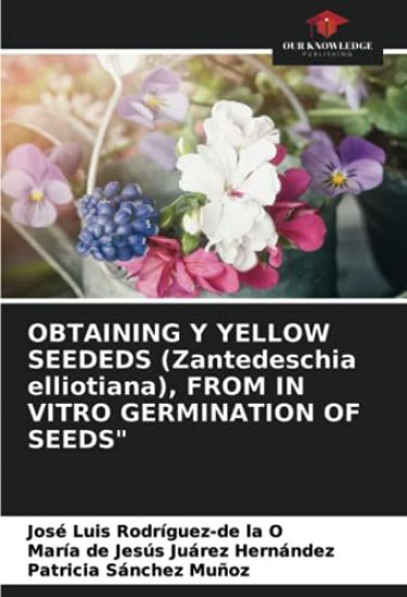 OBTAINING Y YELLOW SEEDEDS (Zantedeschia elliotiana), FROM IN VITRO GERMINATION OF SEEDS"