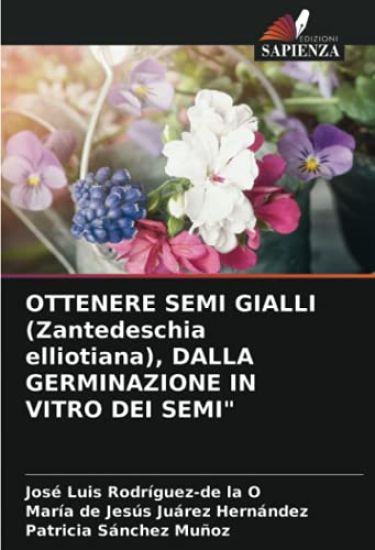 OTTENERE SEMI GIALLI (Zantedeschia elliotiana), DALLA GERMINAZIONE IN VITRO DEI SEMI"
