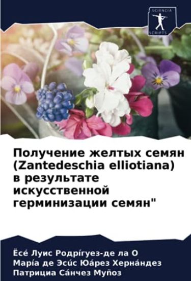 Poluchenie zheltyh semqn (Zantedeschia elliotiana) w rezul'tate iskusstwennoj germinizacii semqn"