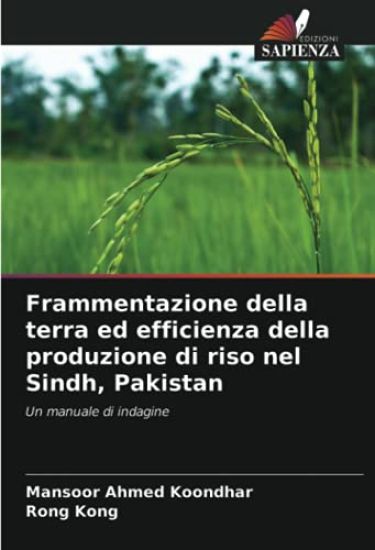 Frammentazione della terra ed efficienza della produzione di riso nel Sindh, Pakistan