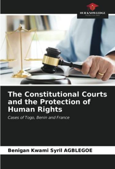 The Constitutional Courts and the Protection of Human Rights