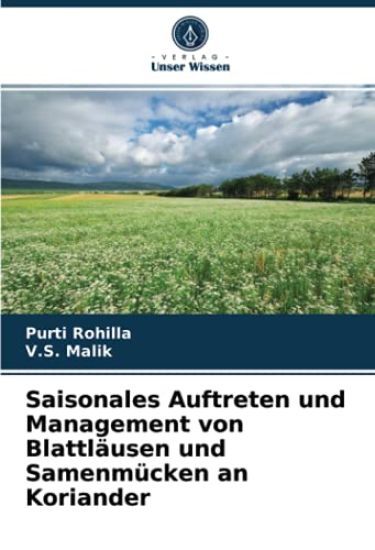 Saisonales Auftreten und Management von Blattläusen und Samenmücken an Koriander