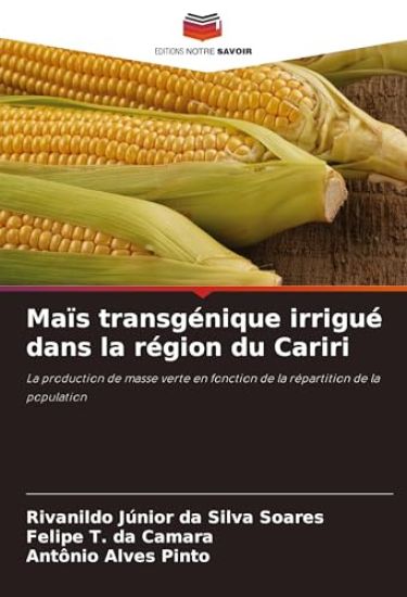 Maïs transgénique irrigué dans la région du Cariri
