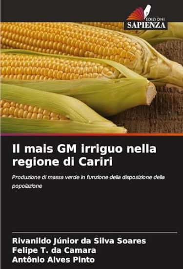Il mais GM irriguo nella regione di Cariri