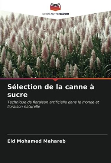 Sélection de la canne à sucre