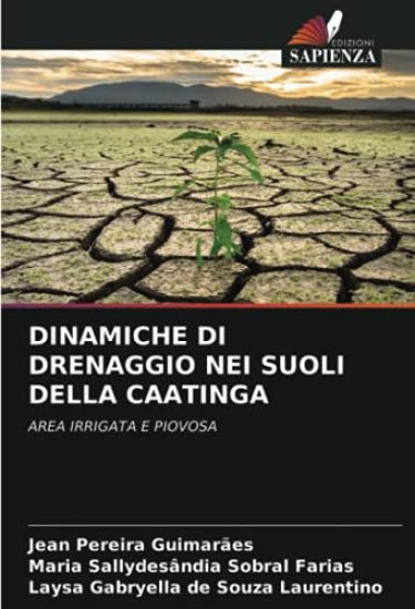 DINAMICHE DI DRENAGGIO NEI SUOLI DELLA CAATINGA