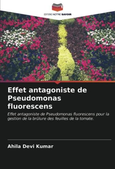 Effet antagoniste de Pseudomonas fluorescens