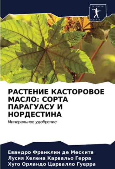 RASTENIE KASTOROVOE MASLO: SORTA PARAGUASU I NORDESTINA