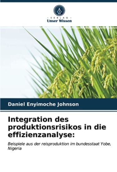 Integration des produktionsrisikos in die effizienzanalyse: