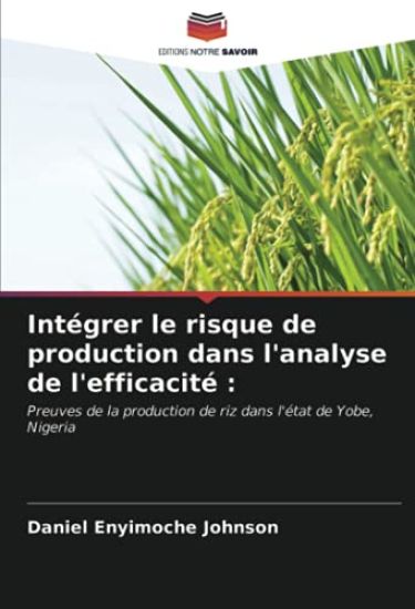 Intégrer le risque de production dans l'analyse de l'efficacité :