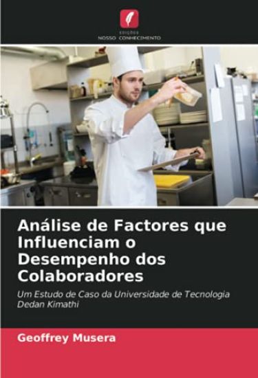 Análise de Factores que Influenciam o Desempenho dos Colaboradores