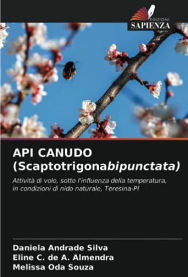API CANUDO (Scaptotrigonabipunctata)