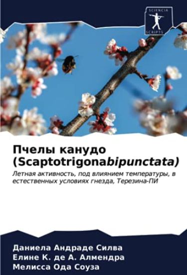 Pchely kanudo (Scaptotrigonabipunctata)