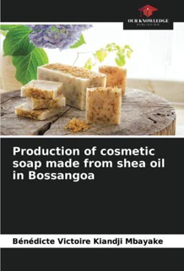 Production of cosmetic soap made from shea oil in Bossangoa